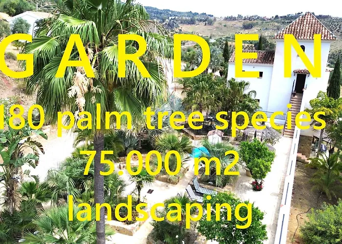 Private Mi Dushi With Optional Private Jacuzzi בקתה *